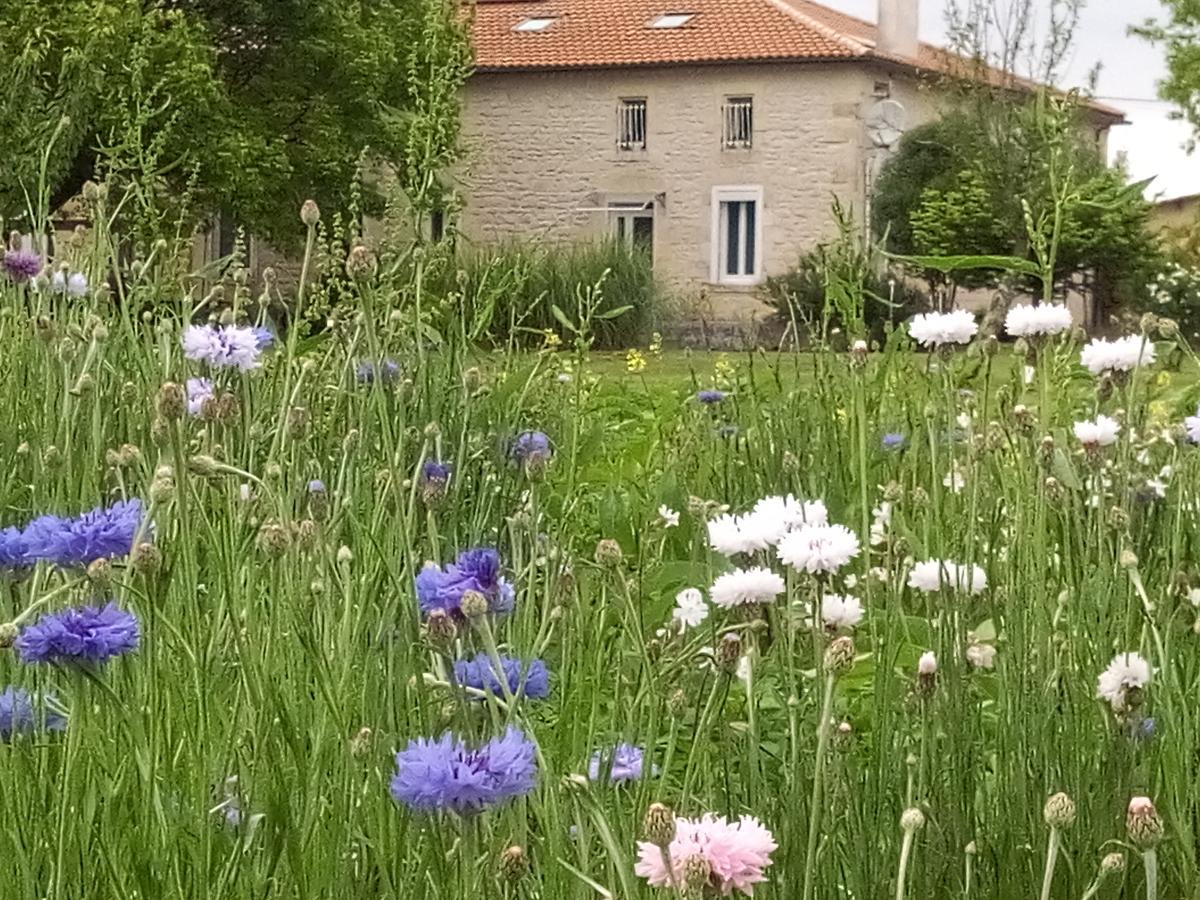 Civrac-en-Médoc Chambres D'Hotes Chateau Pierre De Montignac المظهر الخارجي الصورة